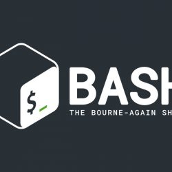 bash linux