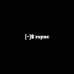 rsync command
